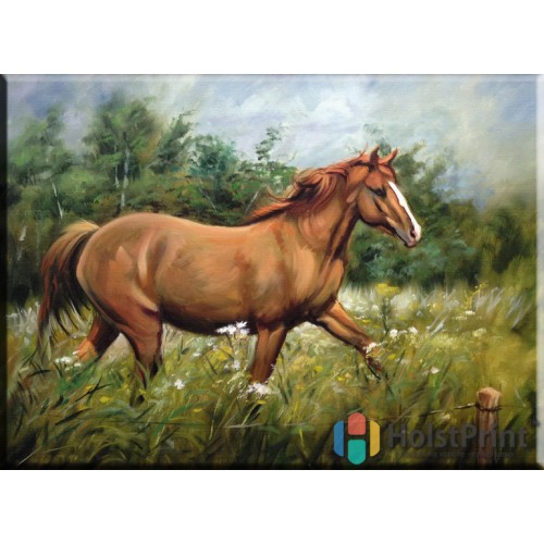 Лошадь рисунок, , 168.00 грн., JVV777037, , Картины Животных (Репродукции картин)